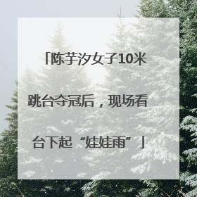 陈芋汐女子10米跳台夺冠后，现场看台下起“娃娃雨”