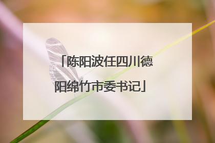 陈阳波任四川德阳绵竹市委书记