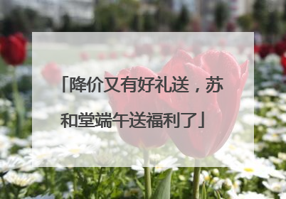 降价又有好礼送，苏和堂端午送福利了