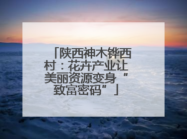陕西神木铧西村：花卉产业让美丽资源变身“致富密码”