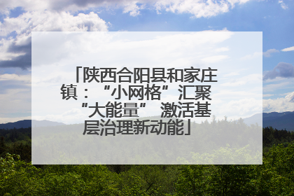 陕西合阳县和家庄镇：“小网格”汇聚“大能量” 激活基层治理新动能