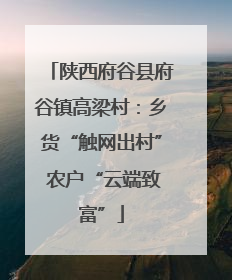 陕西府谷县府谷镇高梁村：乡货“触网出村” 农户“云端致富”