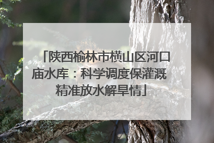 陕西榆林市横山区河口庙水库：科学调度保灌溉 精准放水解旱情