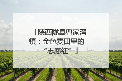 陕西陇县曹家湾镇：金色麦田里的“志愿红”