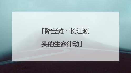 隆宝滩：长江源头的生命律动