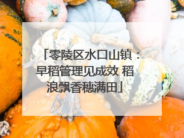 零陵区水口山镇：早稻管理见成效 稻浪飘香穗满田
