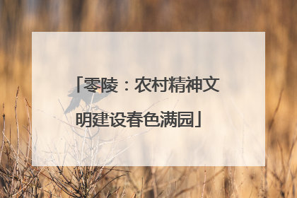 零陵：农村精神文明建设春色满园