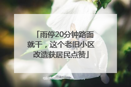 雨停20分钟路面就干，这个老旧小区改造获居民点赞