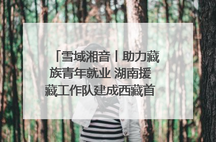 雪域湘音丨助力藏族青年就业 湖南援藏工作队建成西藏首个清洁能源装备园