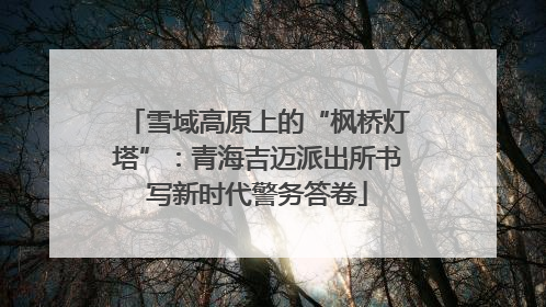 雪域高原上的“枫桥灯塔”：青海吉迈派出所书写新时代警务答卷