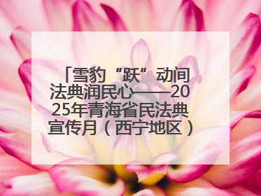 雪豹“跃”动间 法典润民心——2025年青海省民法典宣传月（西宁地区）主场活动见闻
