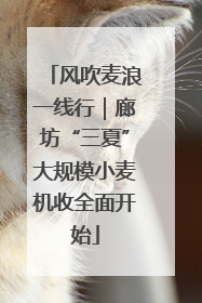 风吹麦浪一线行｜廊坊“三夏”大规模小麦机收全面开始