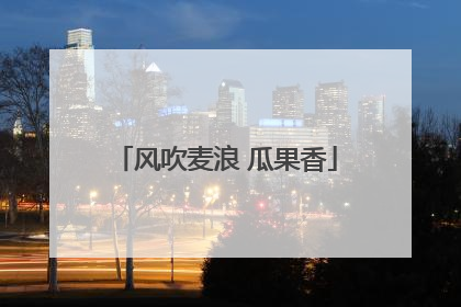 风吹麦浪 瓜果香