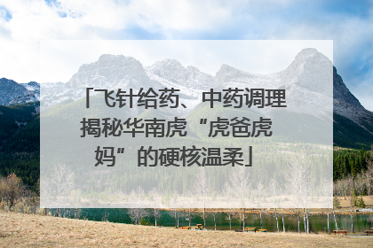 飞针给药、中药调理 揭秘华南虎“虎爸虎妈”的硬核温柔