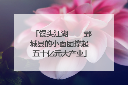 馒头江湖——鄄城县的小面团撑起五十亿元大产业