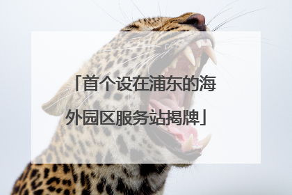 首个设在浦东的海外园区服务站揭牌