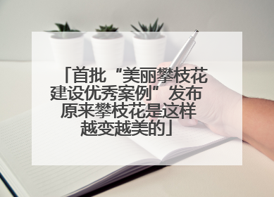 首批“美丽攀枝花建设优秀案例”发布 原来攀枝花是这样越变越美的