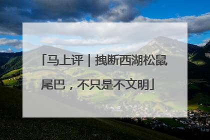 马上评｜拽断西湖松鼠尾巴，不只是不文明