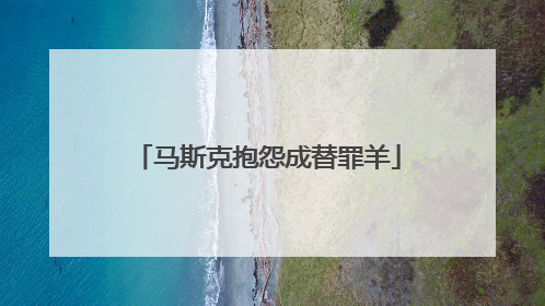马斯克抱怨成替罪羊