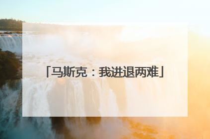 马斯克：我进退两难