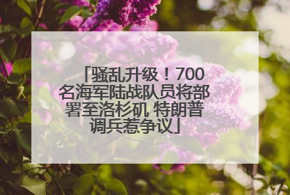 骚乱升级！700名海军陆战队员将部署至洛杉矶 特朗普调兵惹争议