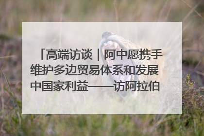 高端访谈｜阿中愿携手维护多边贸易体系和发展中国家利益——访阿拉伯议会议长亚马希