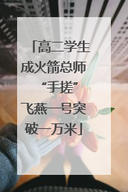 高二学生成火箭总师 “手搓”飞燕一号突破一万米