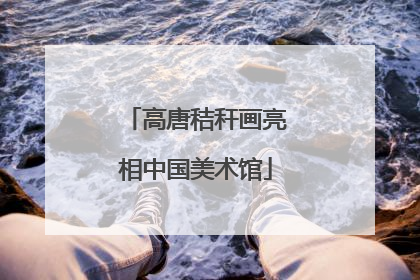 高唐秸秆画亮相中国美术馆