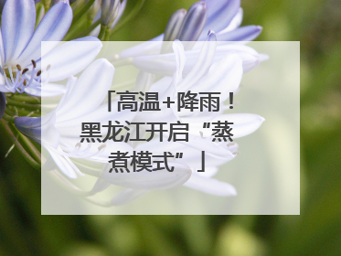 高温+降雨！黑龙江开启“蒸煮模式”