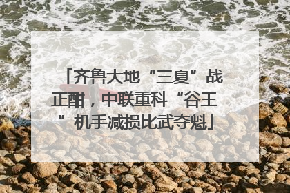 齐鲁大地“三夏”战正酣，中联重科“谷王”机手减损比武夺魁
