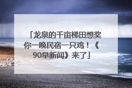 龙泉的千亩梯田想奖你一晚民宿一只鸡！《90早新闻》来了