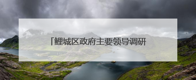 鲤城区政府主要领导调研道路交通综合提升工作