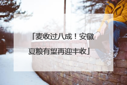 麦收过八成！安徽夏粮有望再迎丰收