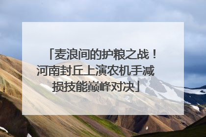 麦浪间的护粮之战！河南封丘上演农机手减损技能巅峰对决