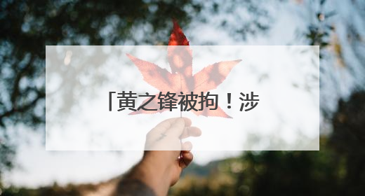 黄之锋被拘！涉勾结外国势力危害国安及洗黑钱