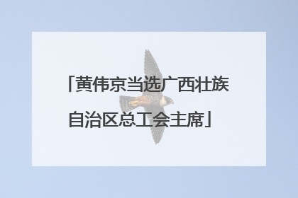 黄伟京当选广西壮族自治区总工会主席
