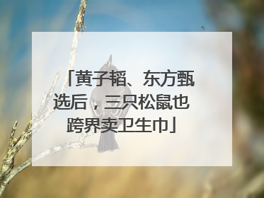 黄子韬、东方甄选后，三只松鼠也跨界卖卫生巾