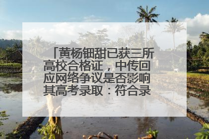 黄杨钿甜已获三所高校合格证，中传回应网络争议是否影响其高考录取：符合录取条件就能录取