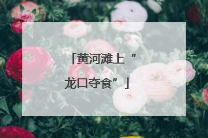 黄河滩上“龙口夺食”