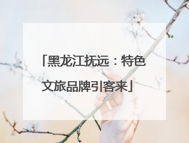 黑龙江抚远：特色文旅品牌引客来