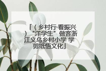 （乡村行·看振兴）“洋学生”做客浙江义乌乡村小学 学剪纸悟文化