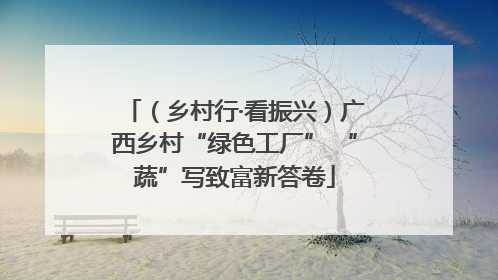 （乡村行·看振兴）广西乡村“绿色工厂” “蔬”写致富新答卷