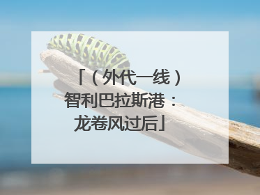 （外代一线）智利巴拉斯港：龙卷风过后