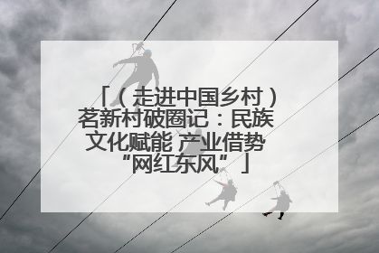 （走进中国乡村）茗新村破圈记：民族文化赋能 产业借势 “网红东风”