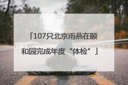 107只北京雨燕在颐和园完成年度“体检”
