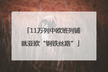 11万列中欧班列铺就亚欧“钢铁丝路”