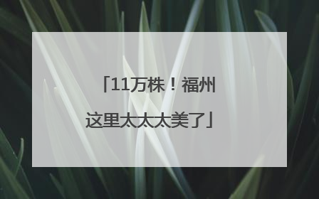 11万株！福州这里太太太美了