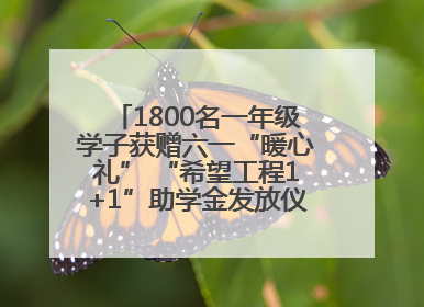 1800名一年级学子获赠六一“暖心礼” “希望工程1+1”助学金发放仪式在川举行