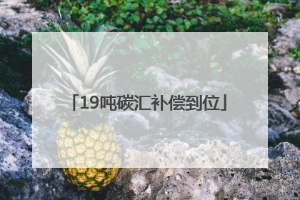 19吨碳汇补偿到位