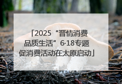 2025“晋情消费 品质生活”6·18专题促消费活动在太原启动